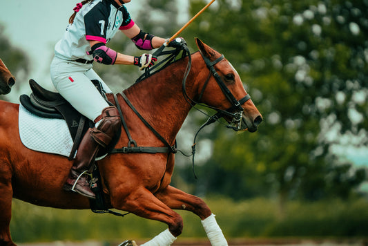 How to Choose Your Winning Horse Partner