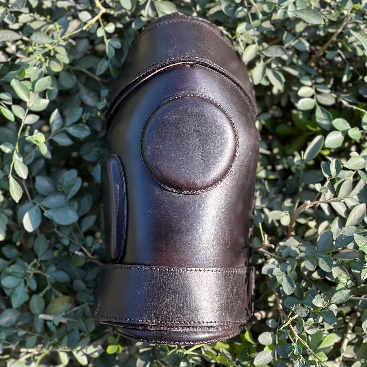Signature Knee Pads