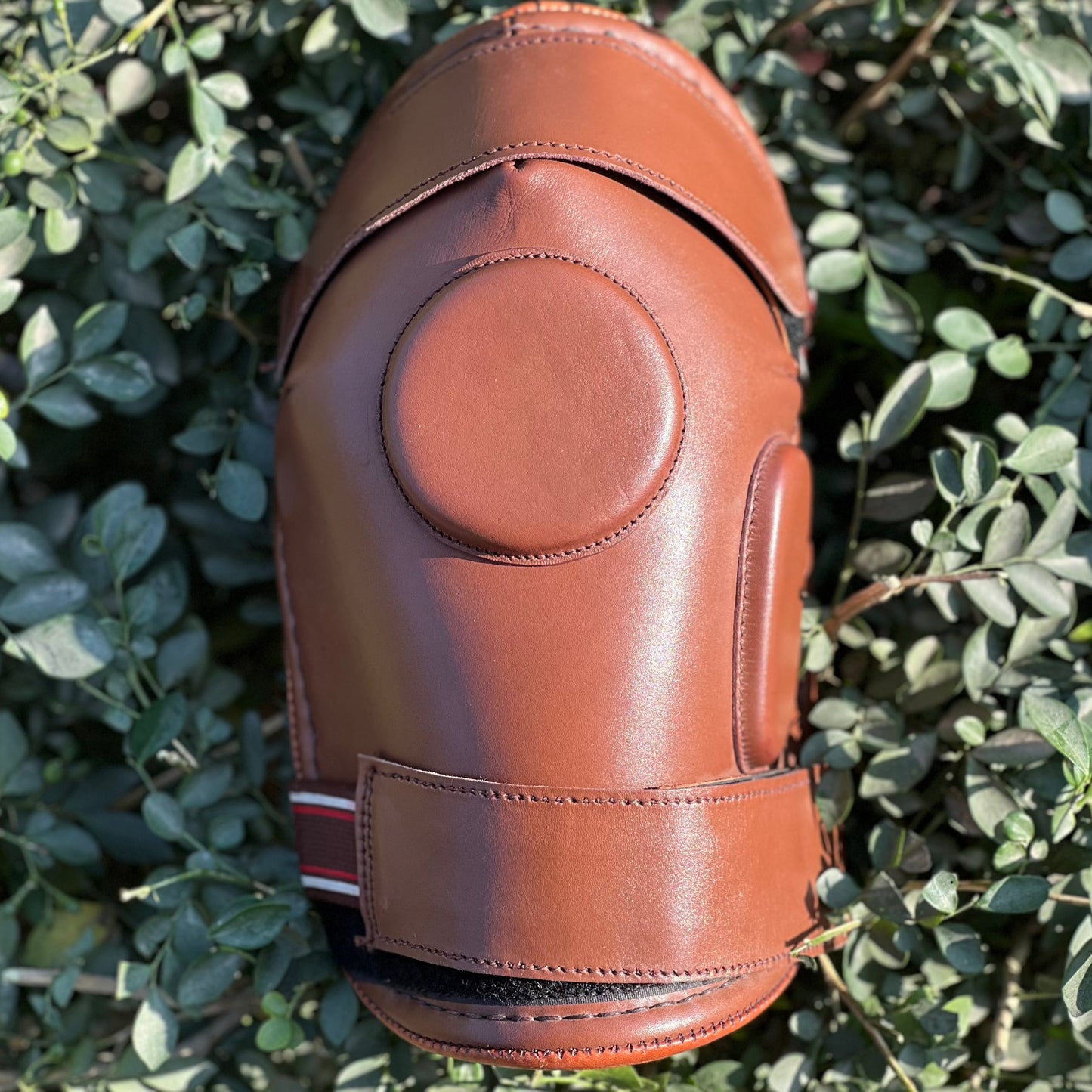 Signature Knee Pads