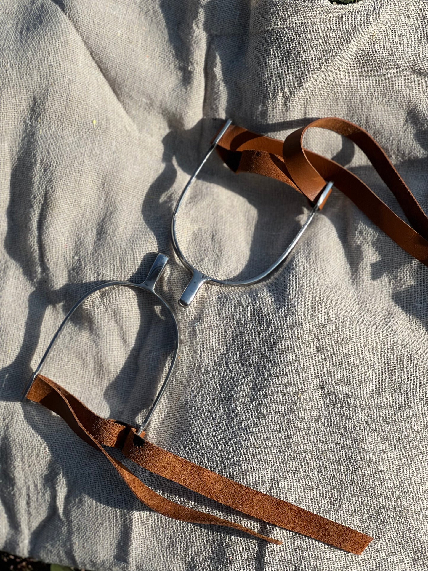Premium Stainless Steel Spurs with Leather Straps