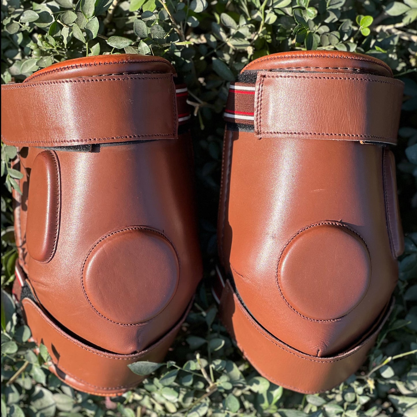 Signature Knee Pads