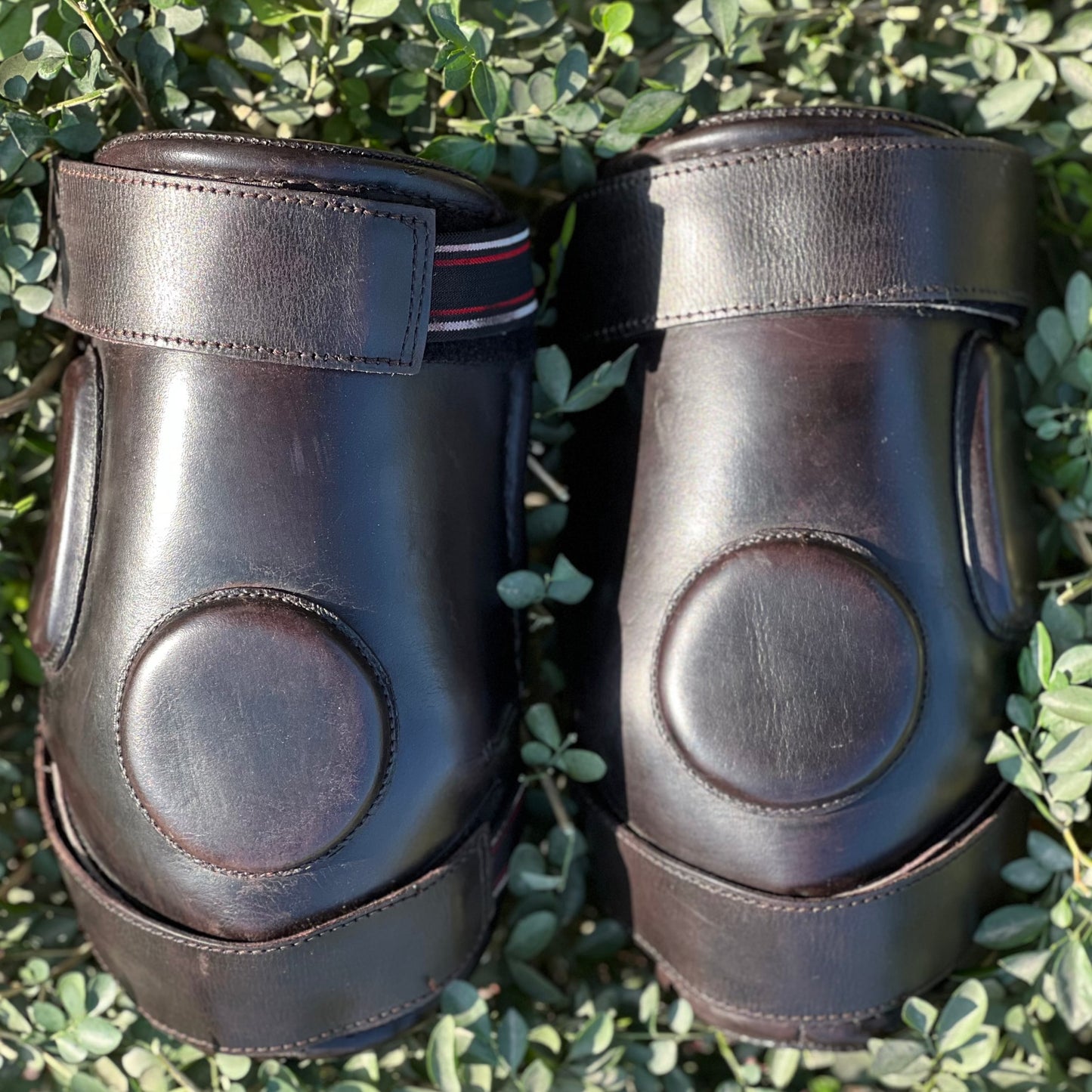 Signature Knee Pads