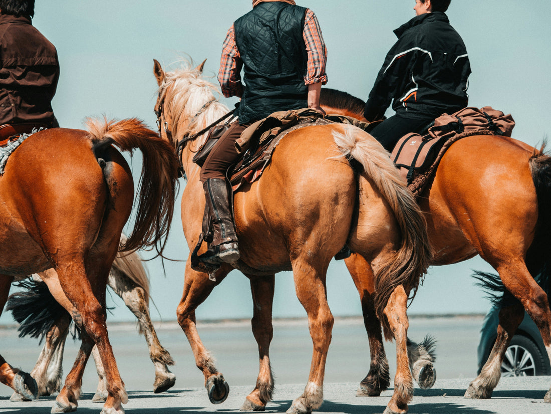 Polo Boots vs. Riding Boots: Key Differences and Which Is Right for You