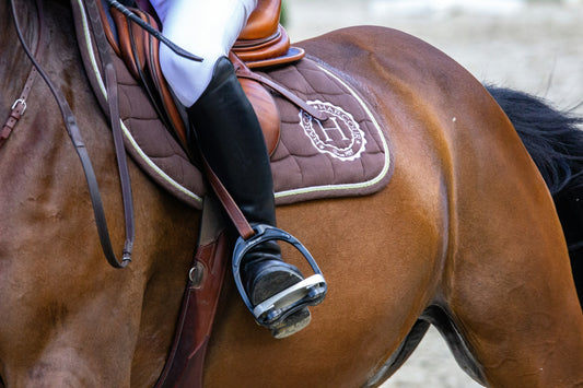 Game-Changing Gear: How Polo boots Impact Performance and Safety