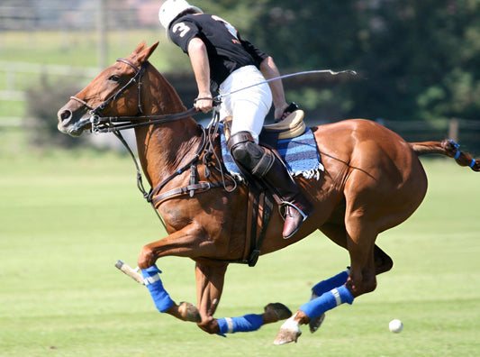 Polo boots in terms of Safety, Fit, and Longevity