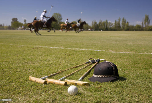 Essential Polo Equipment Guide