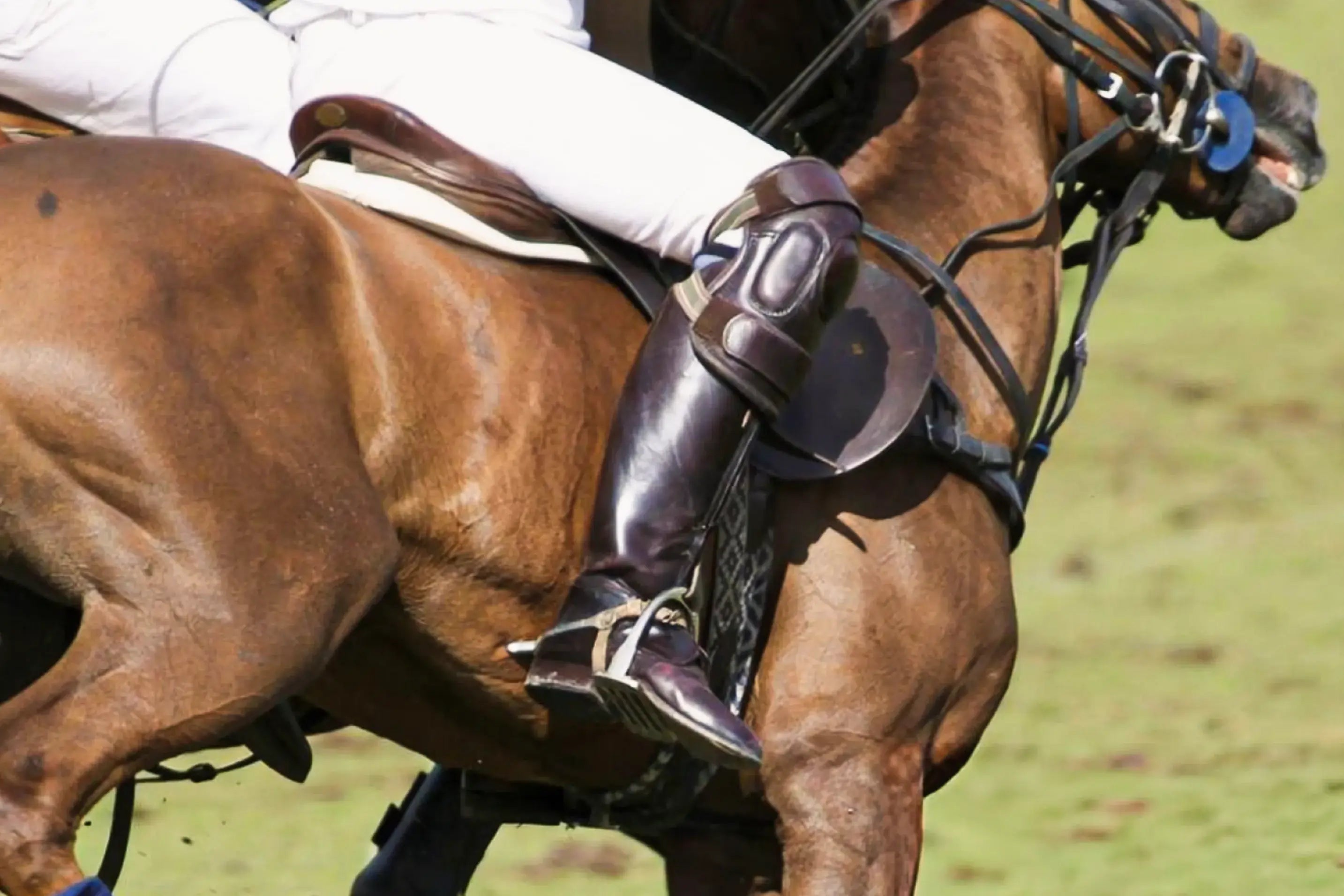 Durable full grain cow leather close up showing natural grain texture on polo boots